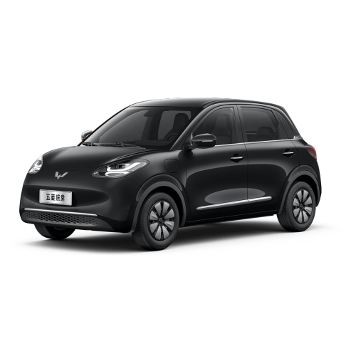 2023 New Wuling Bingo,200km Small New Energy Vehicles Pure Electric Cars